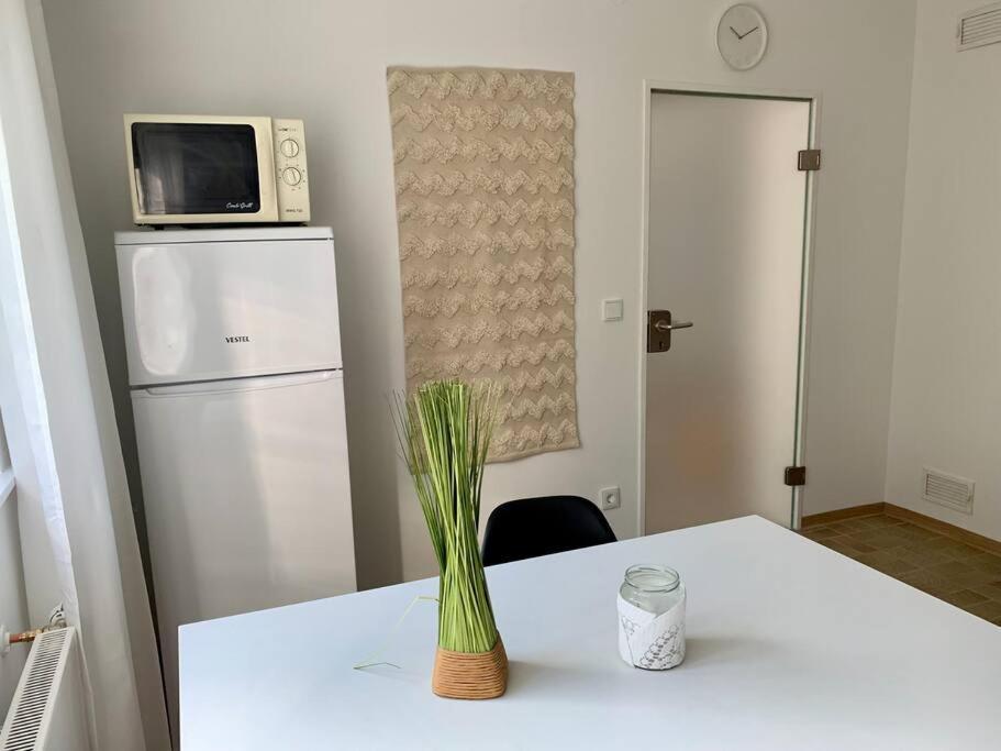Ruhige Am Rande Des Naturschutzgebietes